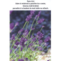 Pozdrav s citátom (B26-V3) Žalm 32,8